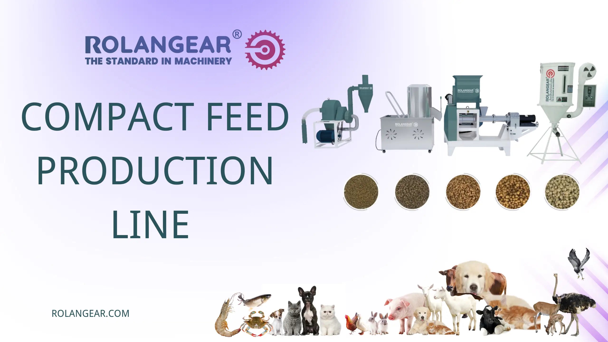 Compact Feed Production line for fish farm