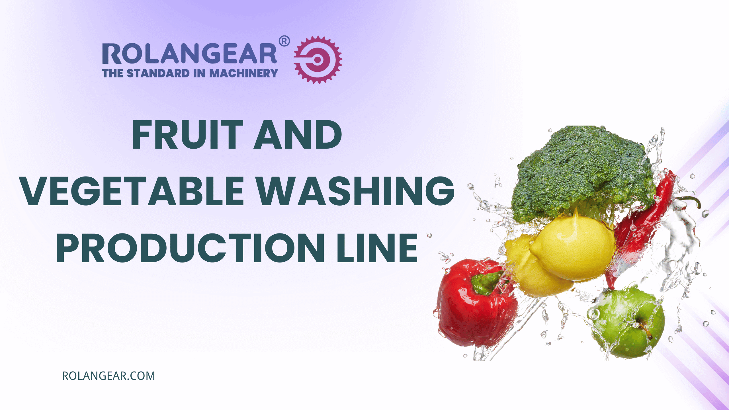 Fruit and Vegetable Washing Production Line