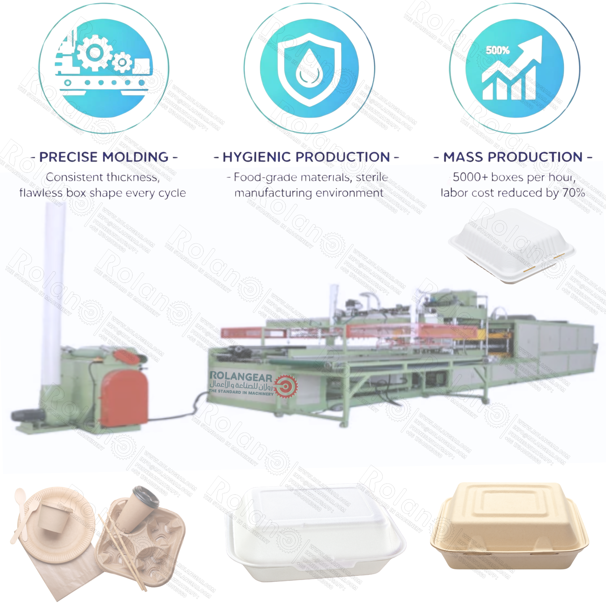 Fully Automatic Disposable Food Box Production Line