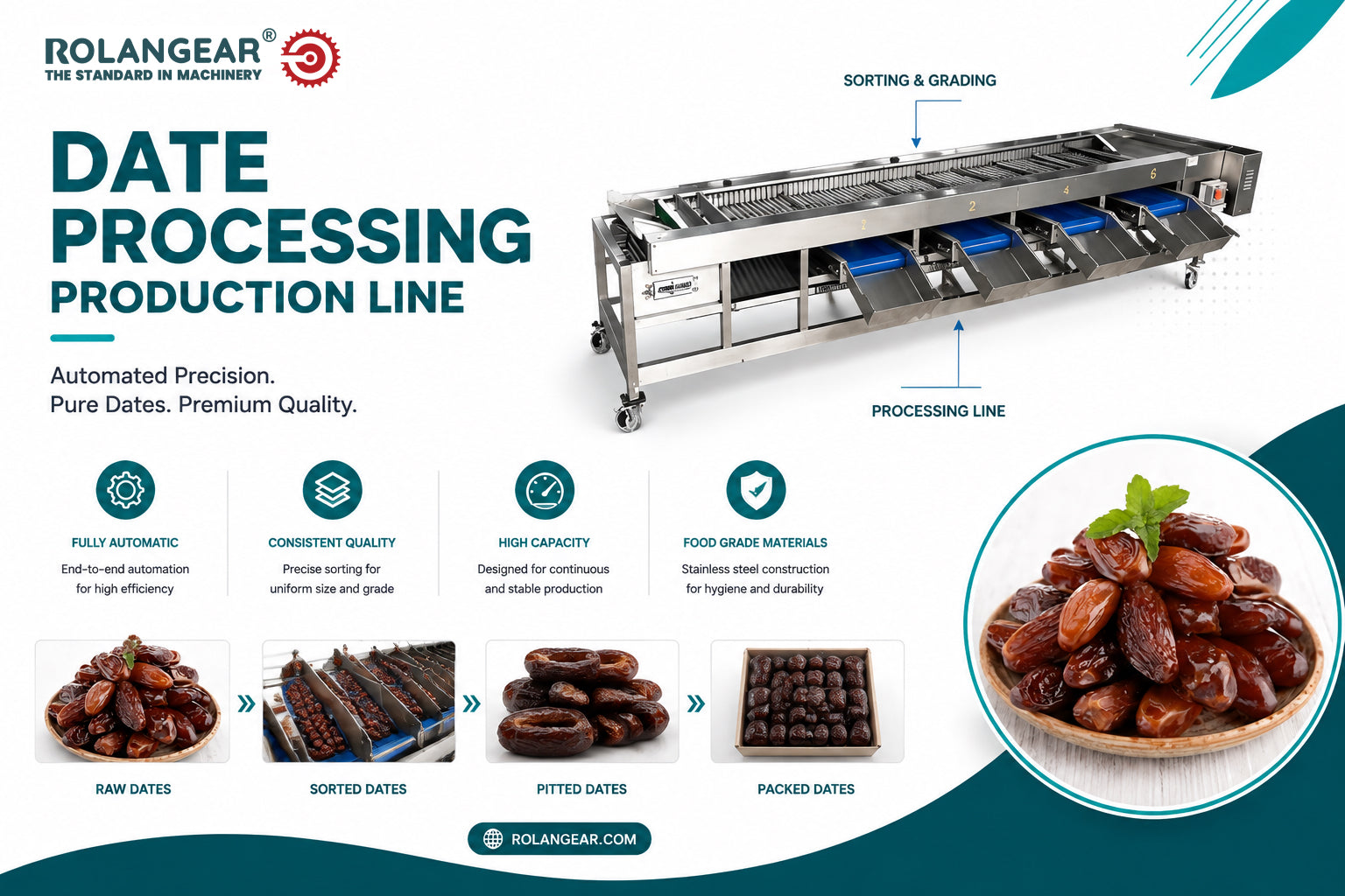 How to Start a Date Processing and Packaging Factory: Complete Equipment Guide