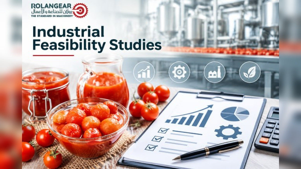 Tomato Paste Factory Industrial Feasibility Studies