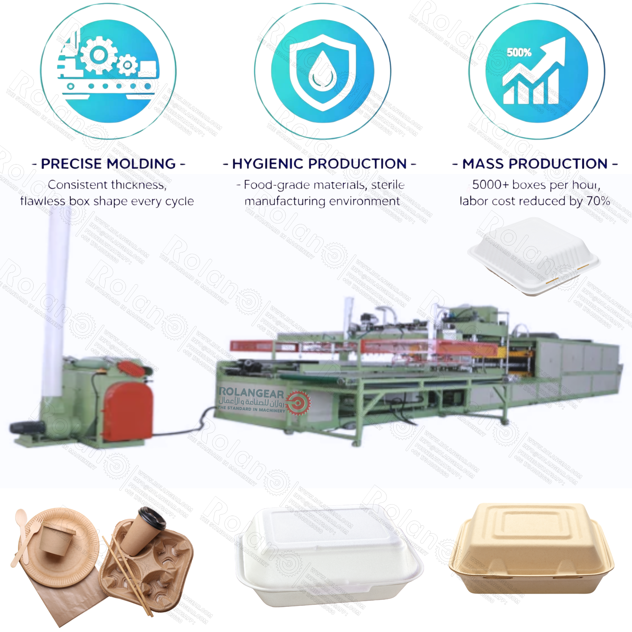 Fully Automatic Disposable Food Box Production Line