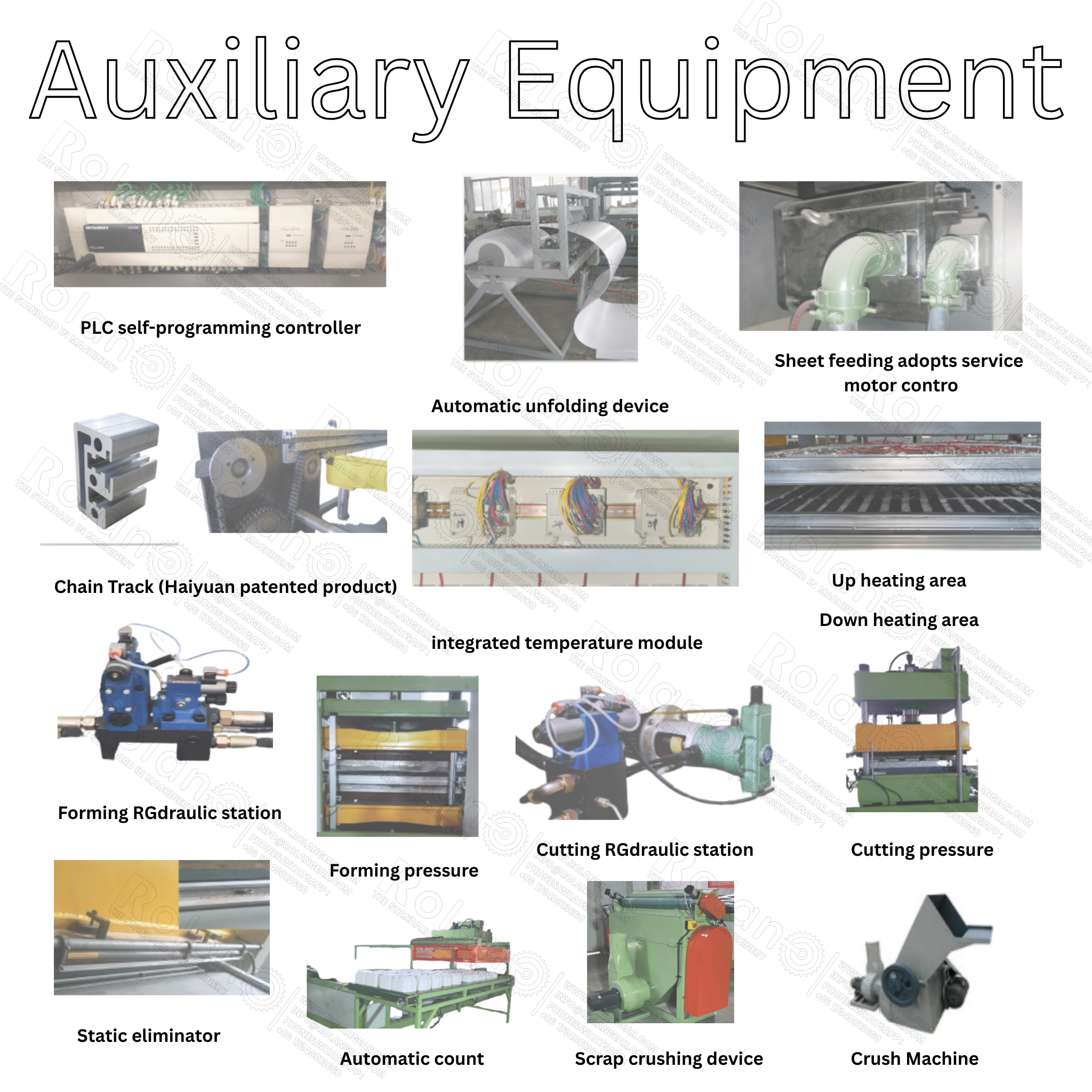 Fully Automatic Disposable Food Box Production Line