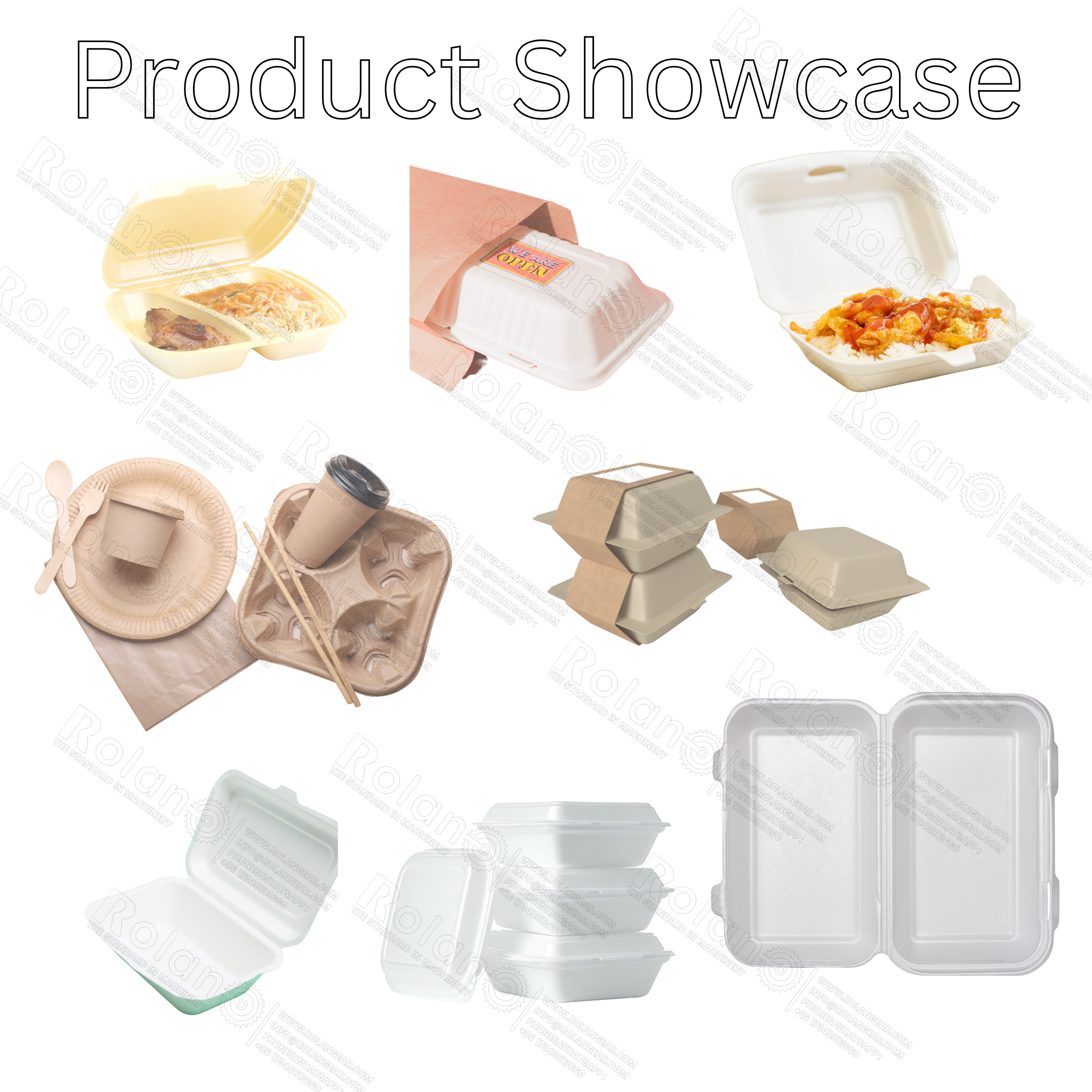 Fully Automatic Disposable Food Box Production Line